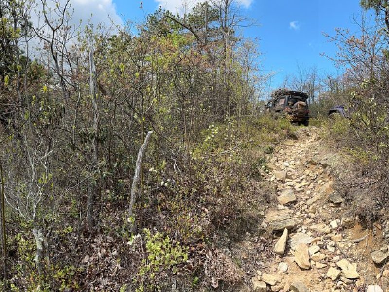 Boar's Head Resort Off Road Jeep Tour