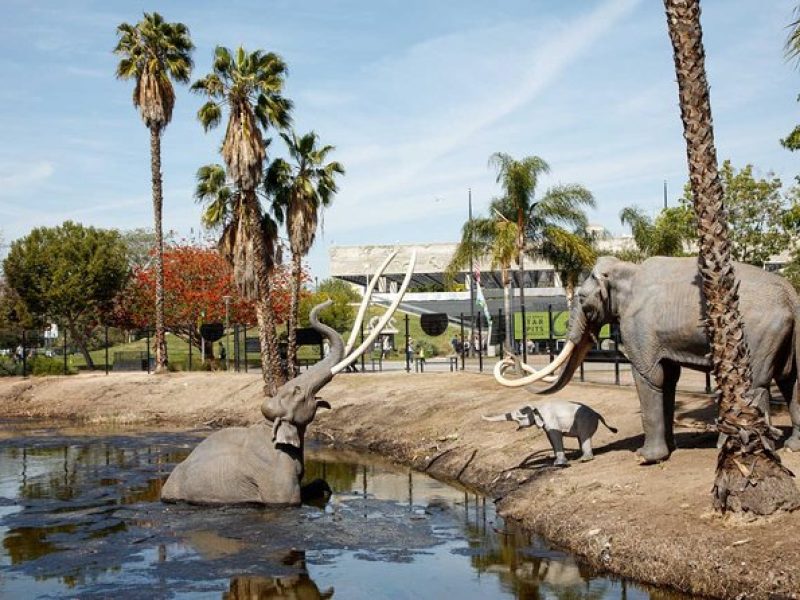 La Brea Tar Pits and Museum Admission Ticket with Excavator Tour