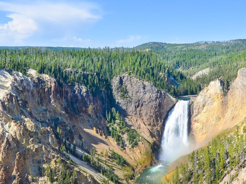 Classic Yellowstone National Park Lower Loop Picnic Lunch Tour