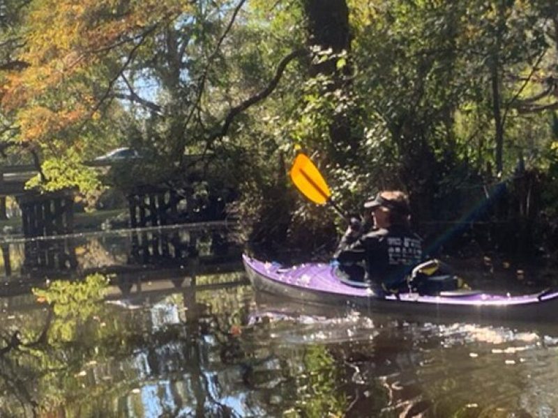 Kayak Tour Of The Honey Island Swamp and Backwaters