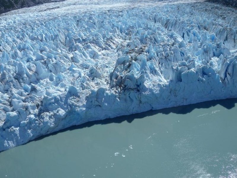 Glacier & Wildlife Discovery Tour