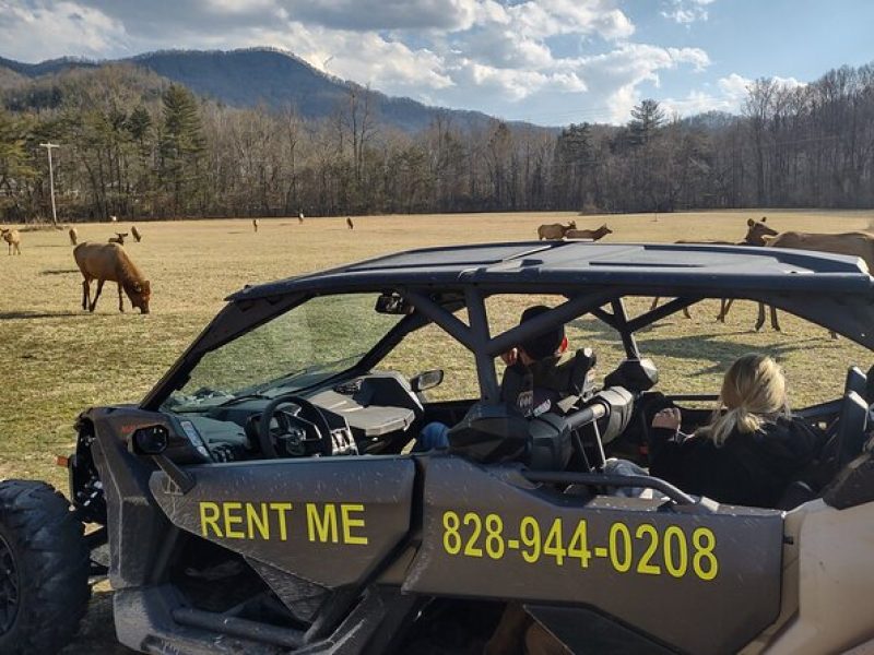 (4 HR) UTV Sunset, Eco Elk Wilderness Adventure