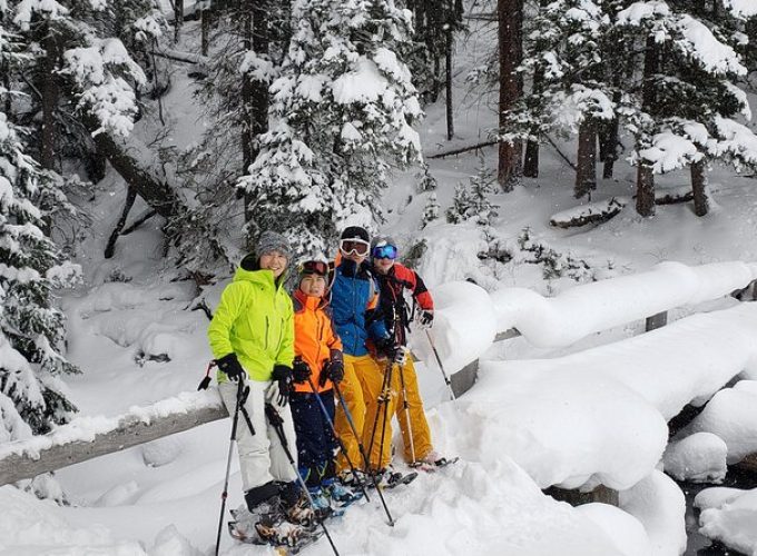 Snowshoe or XC Ski in North Yellowstone (Half Day)