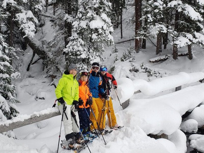 Snowshoe or XC Ski in North Yellowstone (Half Day)