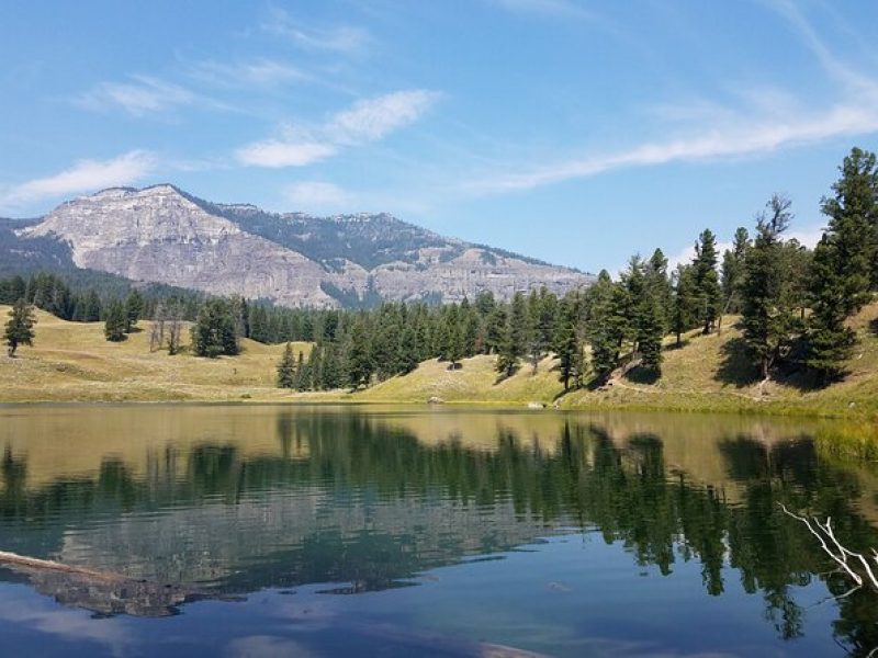 Private Guided Hike in Yellowstone National Park