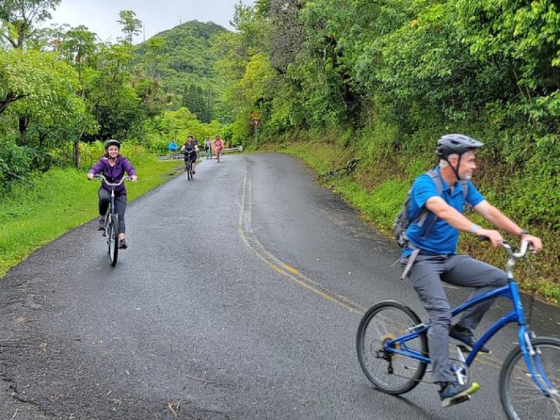 Downhill Bike and Ko'olau Waterfall Hike Tour