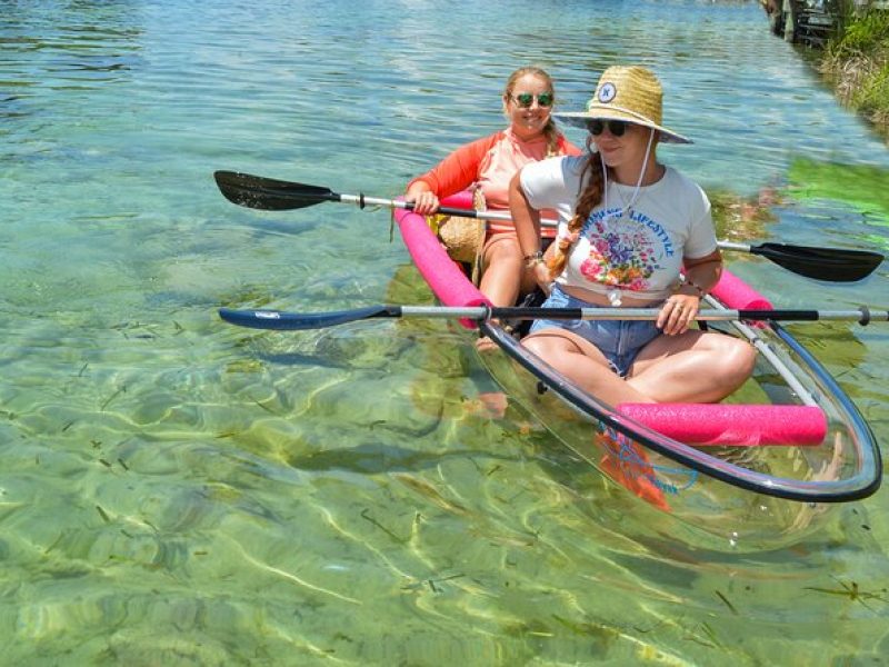 Crystal Clear Kayak Manatee Season Tour