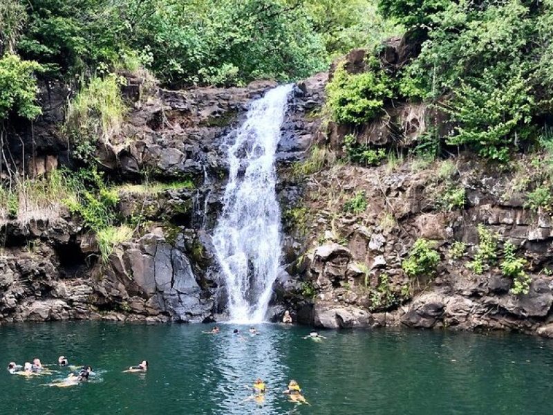 OAHU GRAND CIRCLE Waimea Waterfall, Turtle Beach, North Shore.