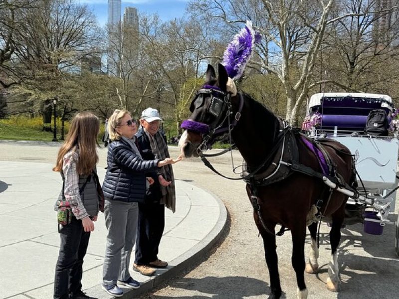 Central Park Movie Tour on Horse Carriage