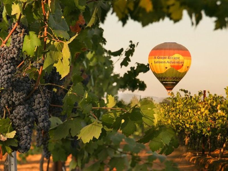 Sunrise Hot Air Balloon Flight over the Temecula Wine Country