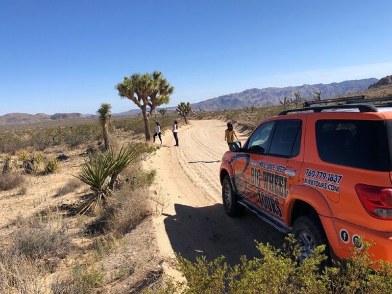 Joshua Tree National Park Offroad Tour