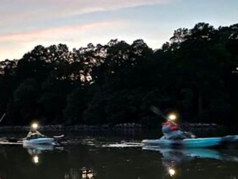 Kayak tour of Jamestown Island (Small Group or Private)