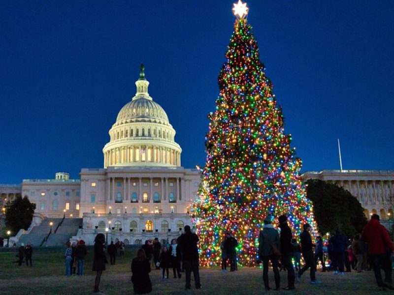 Holiday Lights Private Night Bus Tour of Washington DC