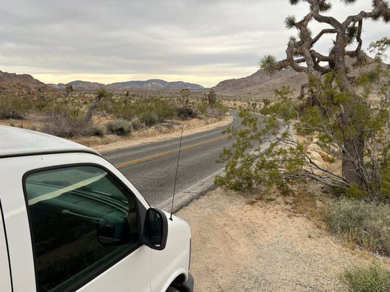 Joshua Tree National Park Private Tour (up to 10 people)