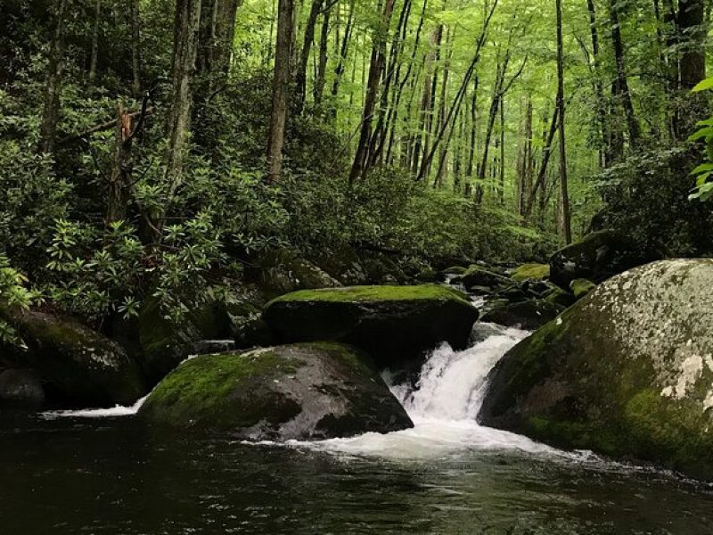 Appalachian Waterfalls Hike