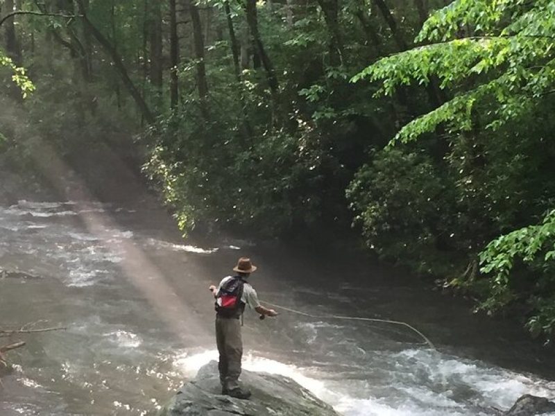 Smoky Mountains National Park Half Day Fly Fishing