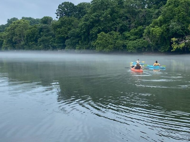 Half-Day Guided Kayaking in the Smoky Mountains of Tallassee