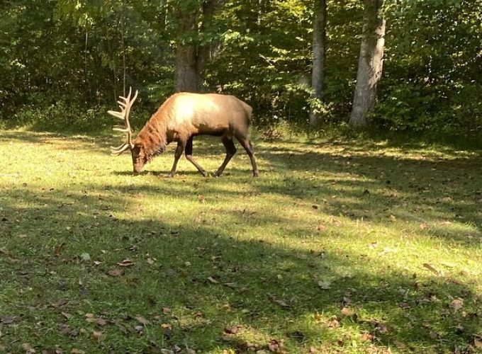 Over the Top Tour in Oconaluftee