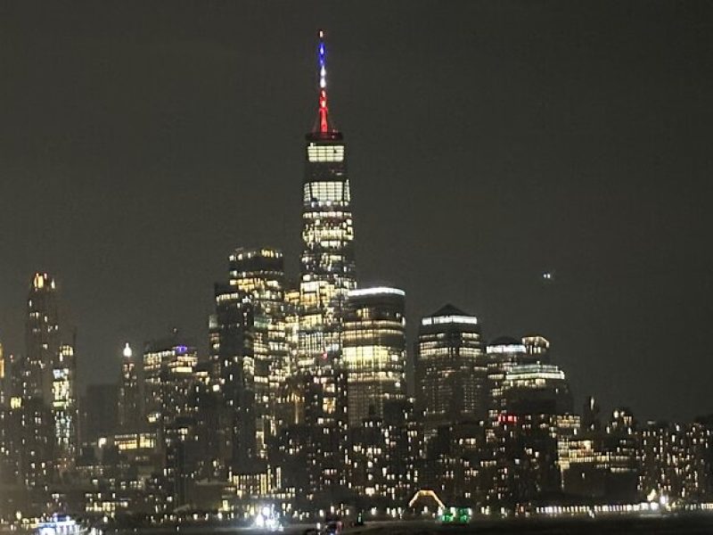 NYC Manhattan Skyline and Statue of Liberty Evening Cruise