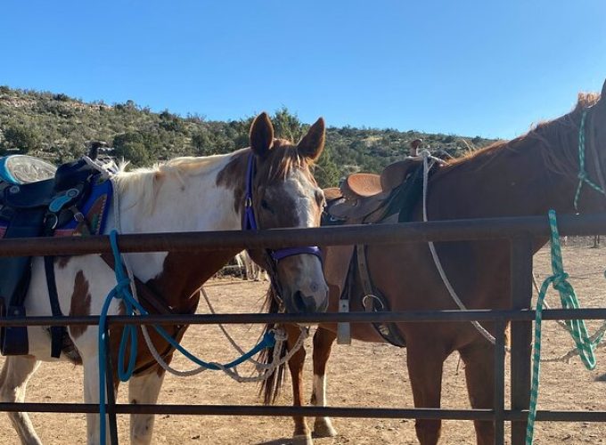 Horseback Ride near the Grand Canyon's West Rim