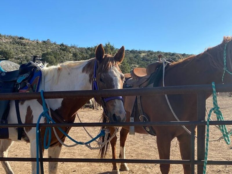 Horseback Ride near the Grand Canyon's West Rim