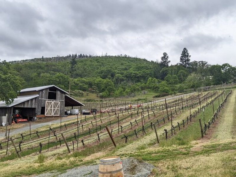 Full-Day Tour of Rogue Valley Wineries