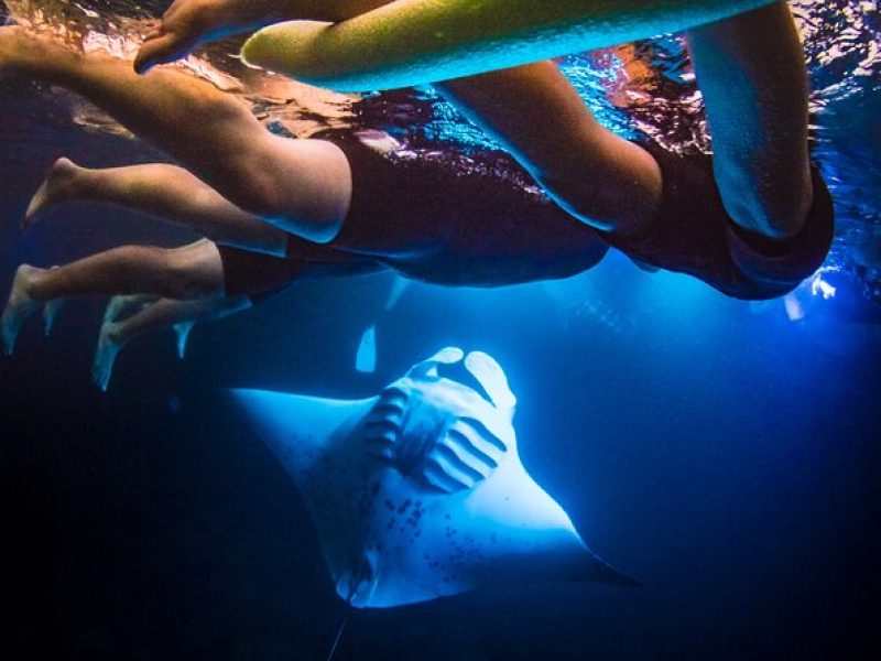 Manta Ray Night Snorkel & Sunset Cruise, Kona, Big Island Hawaii