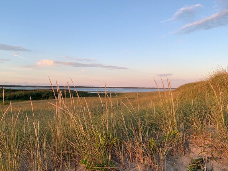 Private, Guided Sightseeing Tour of Marthas Vineyard Island(3hrs)