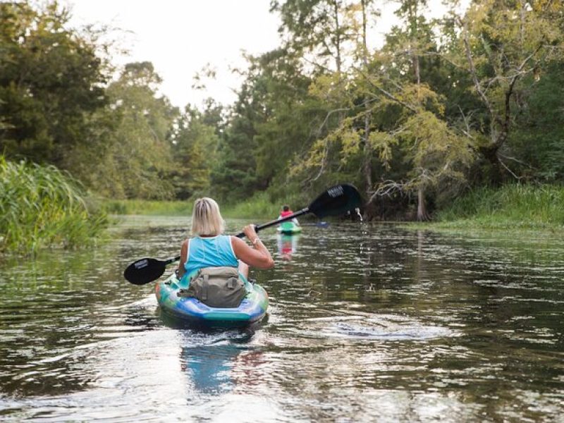 New Orleans Bayou Adventure: Kayak Rental