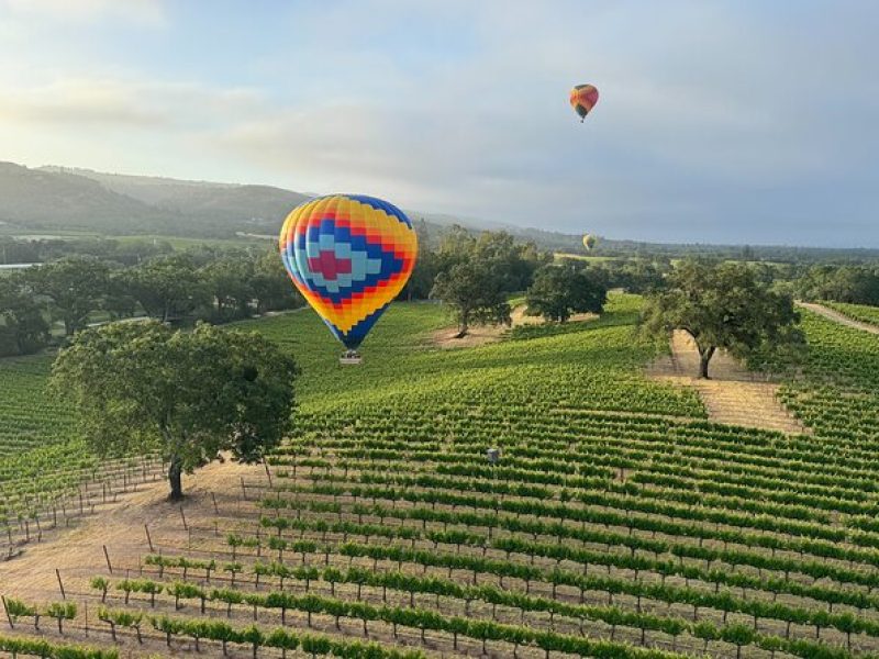 Wine Country Join-in Flight