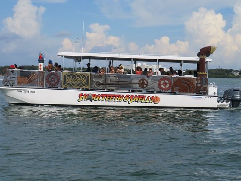 Shark Teeth and Shells, Dolphin and Shelling Tour Boat Clearwater Beach