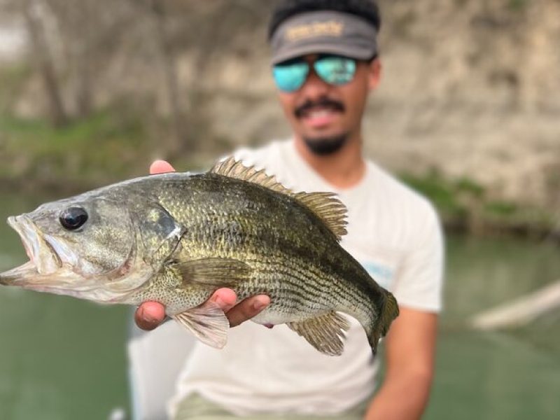 Full Day Guided Fishing Tour in Canyon Lake