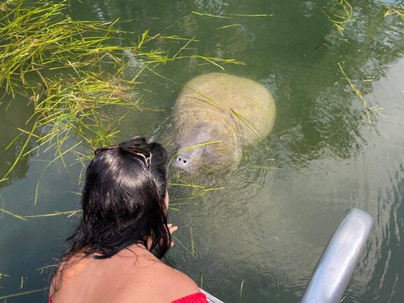 Crystal River: Private Manatee Boat Tour