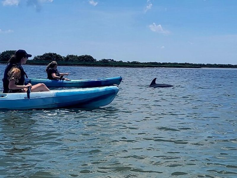 Deluxe Dolphin Kayak Tour