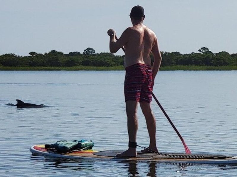 Paddle Board Dolphin Tour