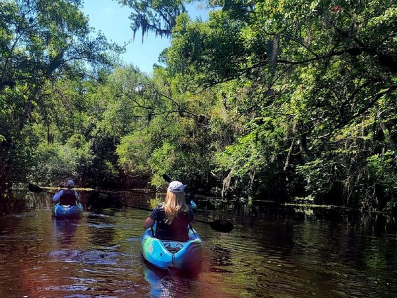 Old Florida Backwater Kayak Tour