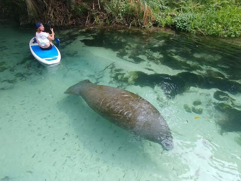 Nature & Island Exploration on SUP/Kayak