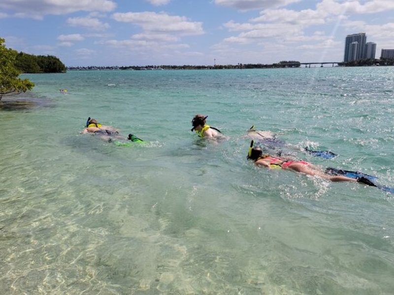 Beginner Friendly Island Snorkeling