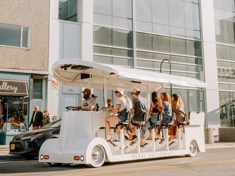 Downtown Anchorage Tour on 14-Passenger Electric Vehicle