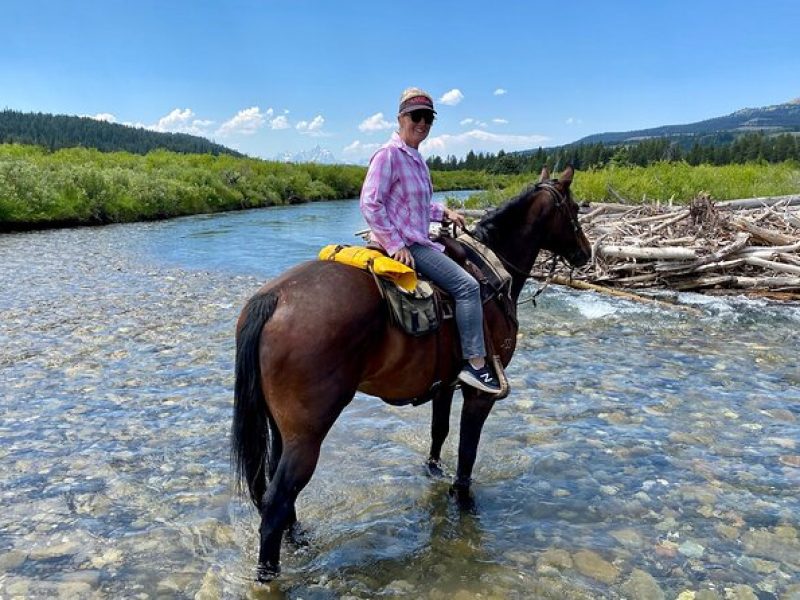 Jackson Hole Horseback Riding in Bridger Teton National Forest