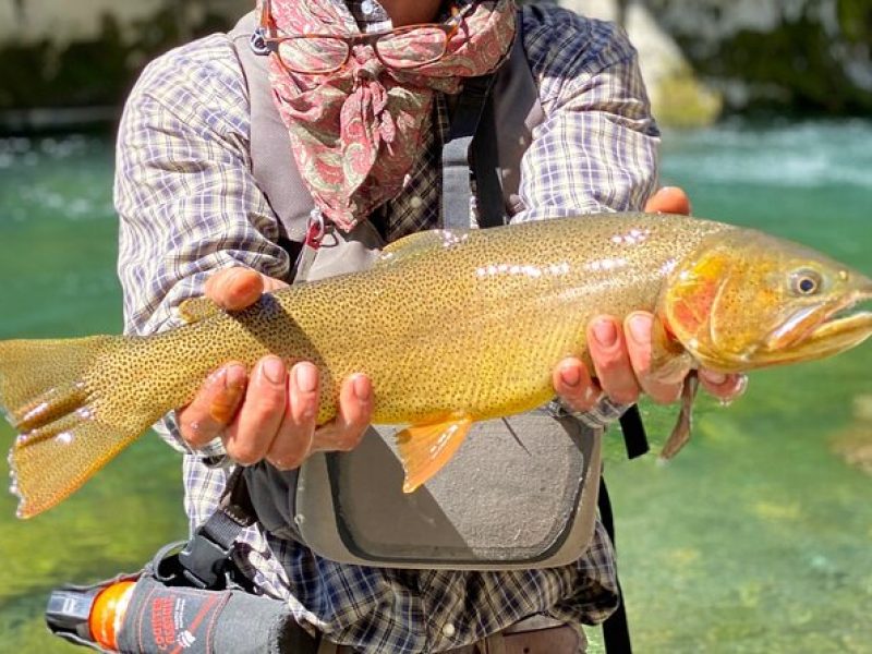 Private Half-day Fly Fishing