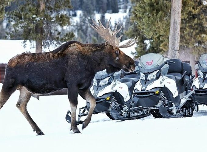 Turpin Meadow Ranch Snowmobiling in Jackson Hole