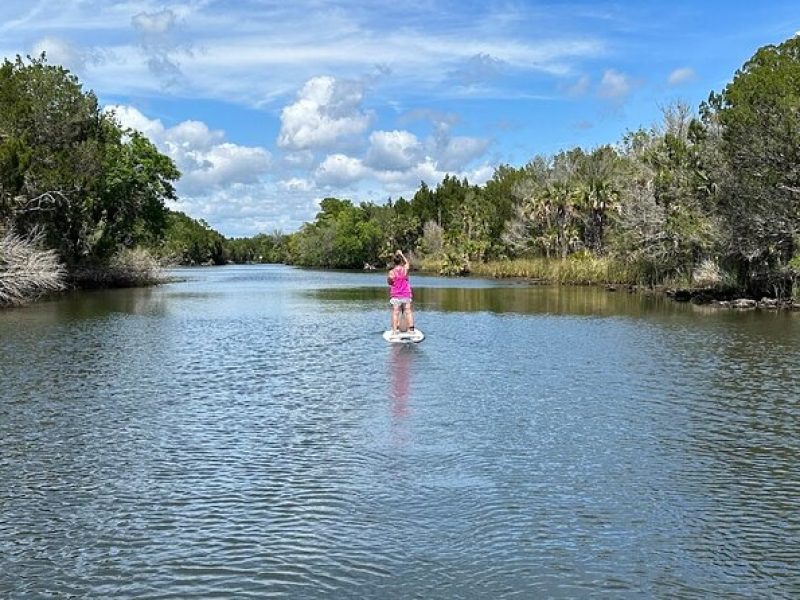 Backland Alligator Electric Paddle Tour