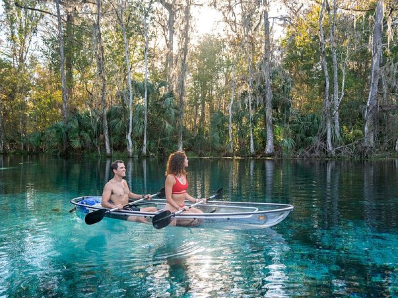 Silver Springs: Clear Kayak Wildlife Adventure