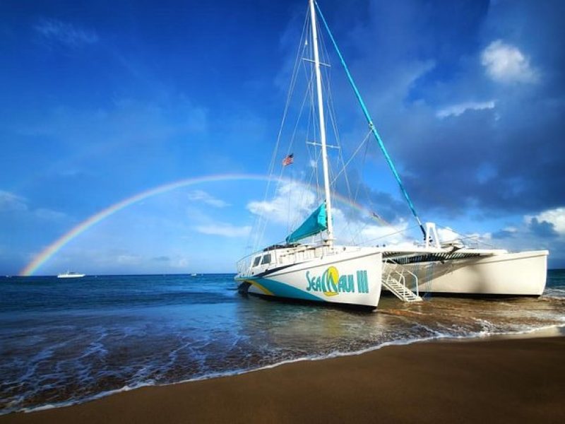 West Maui Half Day Snorkel from Ka’anapali Beach