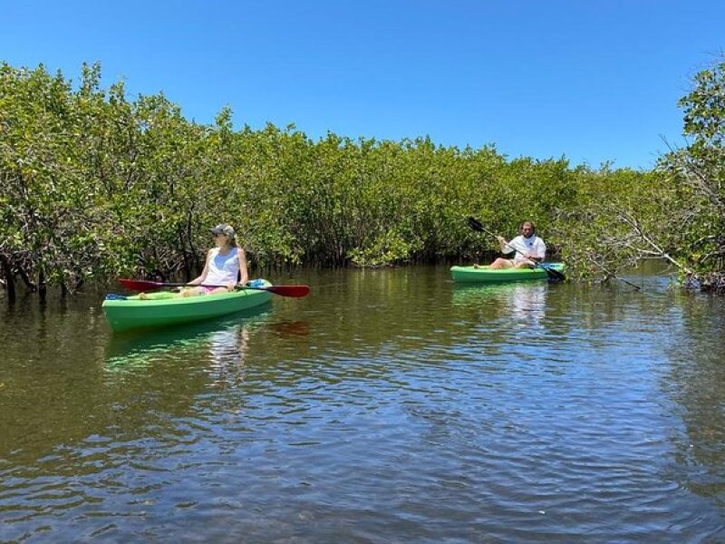 2 Hour Tandem Kayak Tour (Price for 2 People)