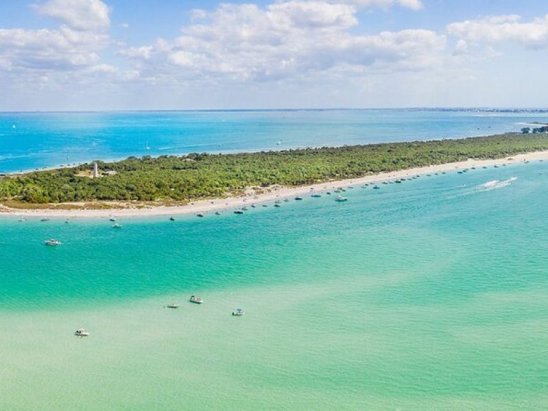 Private 5 Hour Egmont Key Eco Tour in St. Pete