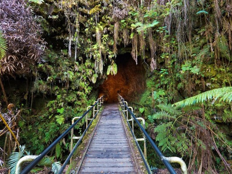 Volcanoes National Park Guided Hike- Small Group Hike