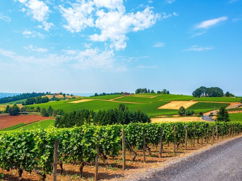 Wine History Tours in Willamette Valley Oregon