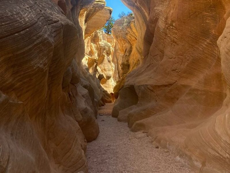 Slot Canyon 2hr tour at Willis Creek